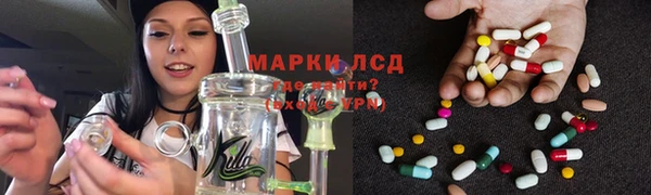 амф Липки