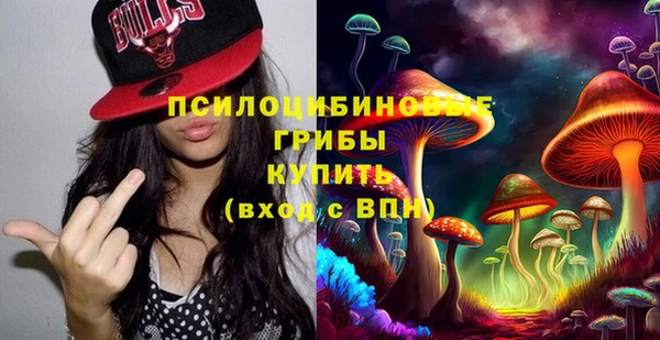 сатива Лихославль