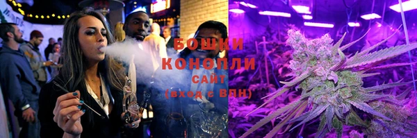 сатива Лихославль