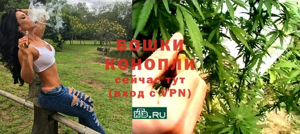амф Липки