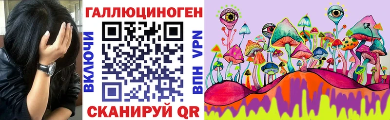 купить   Холм  Псилоцибиновые грибы прущие грибы 